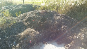 Compost 3